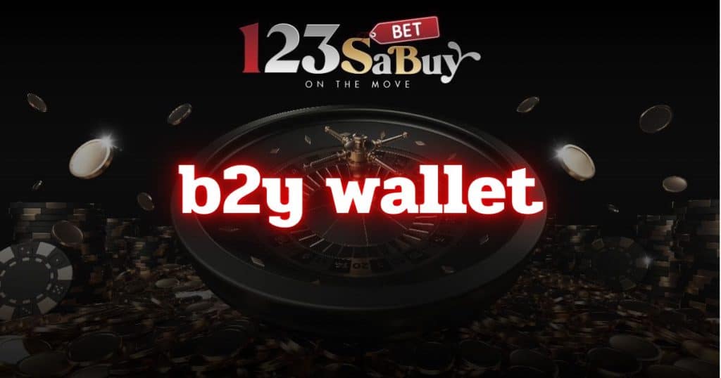 b2y wallet